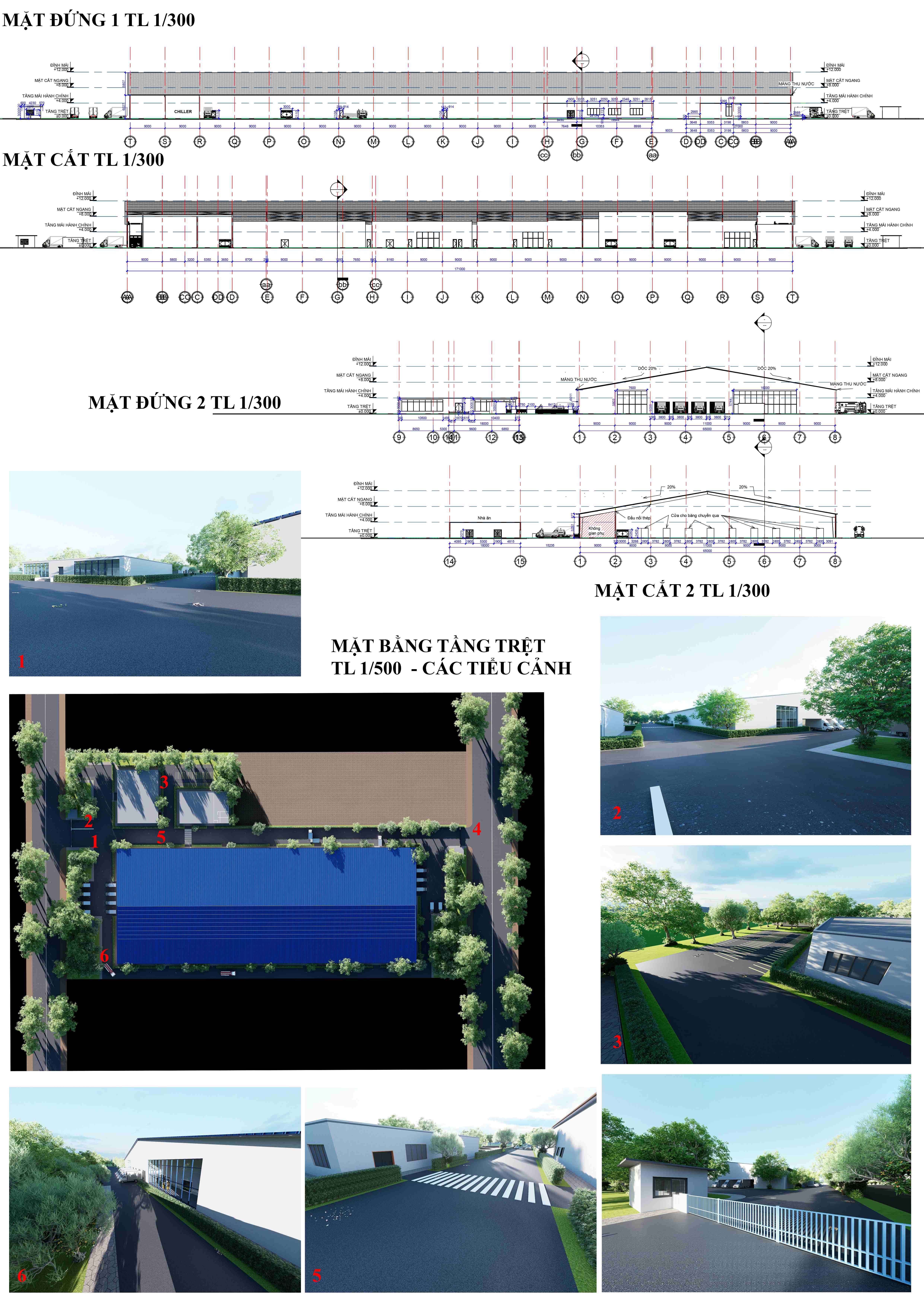 Layout mặt đứng và render